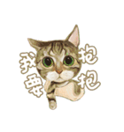 Our Story ( Cat )（個別スタンプ：1）