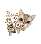 Our Story ( Cat )（個別スタンプ：3）