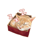 Our Story ( Cat )（個別スタンプ：4）