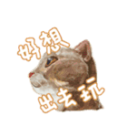 Our Story ( Cat )（個別スタンプ：5）
