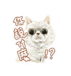 Our Story ( Cat )（個別スタンプ：7）
