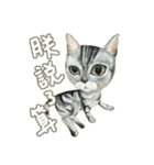 Our Story ( Cat )（個別スタンプ：8）