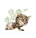 Our Story ( Cat )（個別スタンプ：10）