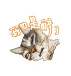 Our Story ( Cat )（個別スタンプ：13）