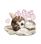 Our Story ( Cat )（個別スタンプ：15）