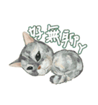Our Story ( Cat )（個別スタンプ：16）