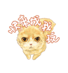 Our Story ( Cat )（個別スタンプ：17）