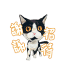 Our Story ( Cat )（個別スタンプ：20）