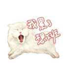 Our Story ( Cat )（個別スタンプ：21）