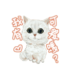 Our Story ( Cat )（個別スタンプ：22）