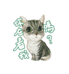 Our Story ( Cat )（個別スタンプ：23）