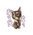 Our Story ( Cat )（個別スタンプ：24）