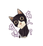 Our Story ( Cat )（個別スタンプ：30）