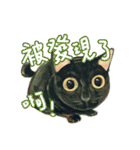 Our Story ( Cat )（個別スタンプ：32）