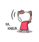 Miss kitty cat（個別スタンプ：35）