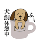 犬飼です（個別スタンプ：31）