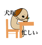 犬塚です（個別スタンプ：9）