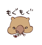 ゆるウォンバットくん（個別スタンプ：1）