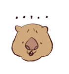 ゆるウォンバットくん（個別スタンプ：11）
