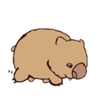 ゆるウォンバットくん（個別スタンプ：25）