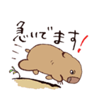 ゆるウォンバットくん（個別スタンプ：29）