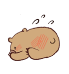 ゆるウォンバットくん（個別スタンプ：36）