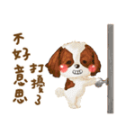 Animal hospital for the day（個別スタンプ：7）