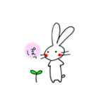 Usatora（個別スタンプ：6）