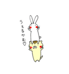 Usatora（個別スタンプ：18）