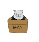 猫之介！（個別スタンプ：6）