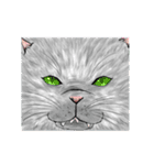 猫之介！（個別スタンプ：13）