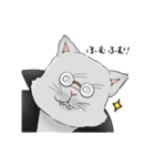 猫之介！（個別スタンプ：26）