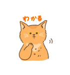 ソマリ【ねこのきもち】（個別スタンプ：37）