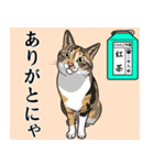 にゃんこ学園(PART10)（個別スタンプ：17）