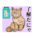 にゃんこ学園(PART10)（個別スタンプ：28）