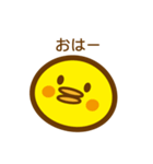 ピヨぴー（個別スタンプ：1）