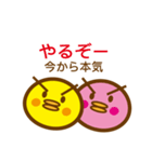 ピヨぴー（個別スタンプ：18）