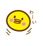 ピヨぴー（個別スタンプ：37）