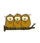 もちふくろう（個別スタンプ：34）