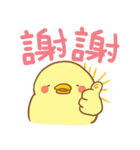 Cute chickens is mad！（個別スタンプ：3）