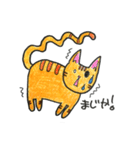 akatora Cat ichigo sticker（個別スタンプ：12）
