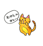 akatora Cat ichigo sticker（個別スタンプ：13）