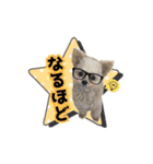 チワプーのAlu（個別スタンプ：7）