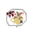 チワプーのAlu（個別スタンプ：15）