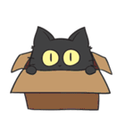 Chao Guay the Munchkin Cat（個別スタンプ：25）