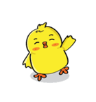 CIKI A Little Chicken（個別スタンプ：1）