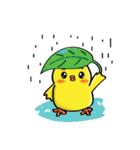 CIKI A Little Chicken（個別スタンプ：16）