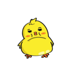 CIKI A Little Chicken（個別スタンプ：19）