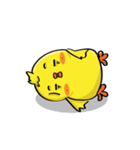 CIKI A Little Chicken（個別スタンプ：36）