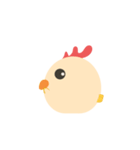 Pitik The Little Chicken（個別スタンプ：16）